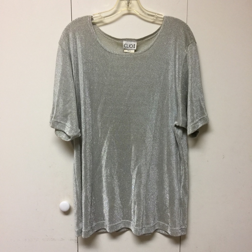 Silver Metallic Shimmer Top